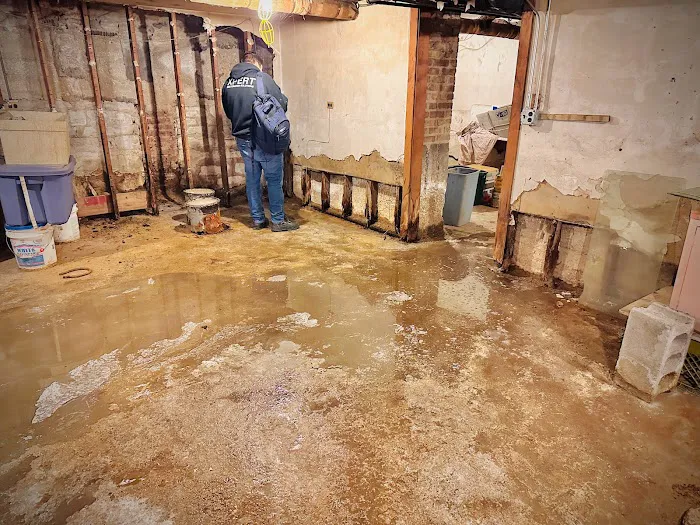 Xpert Restoration Solutions Picture 2