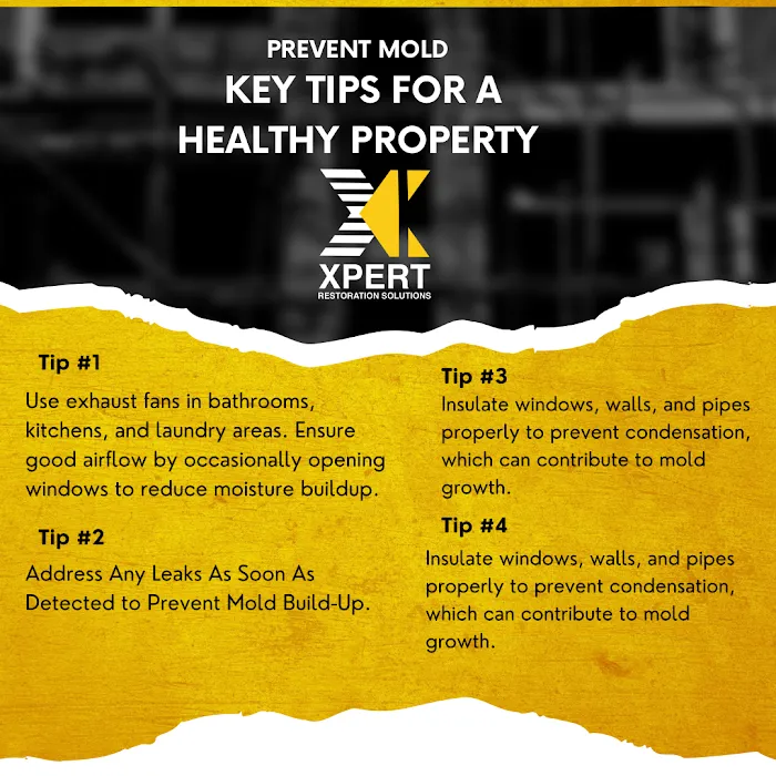 Xpert Restoration Solutions Picture 10