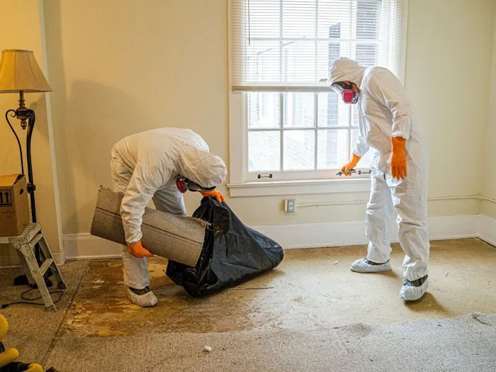 Alliance Disaster Kleenup, Inc. Picture 9