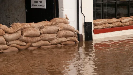 Alliance Disaster Kleenup, Inc. Picture 5