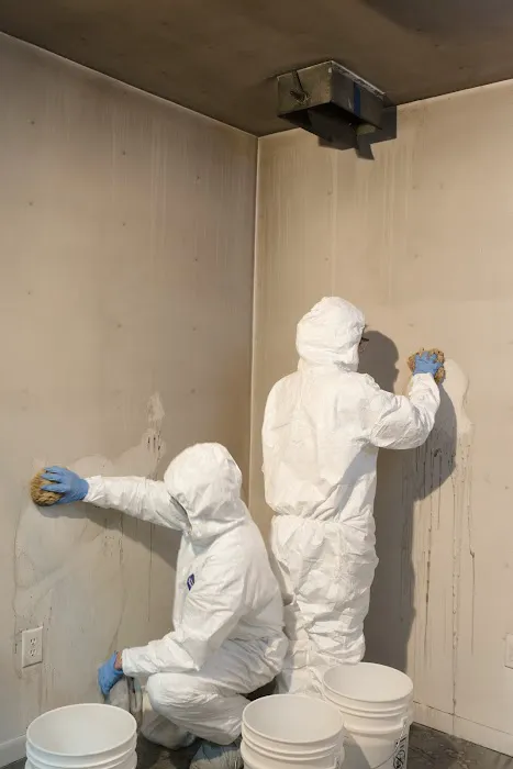 Rainbow International of Chicago North Shore Picture 7