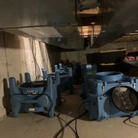 Bewise Master, Inc ico