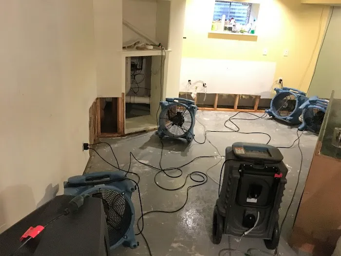 Bewise Master, Inc Picture 3