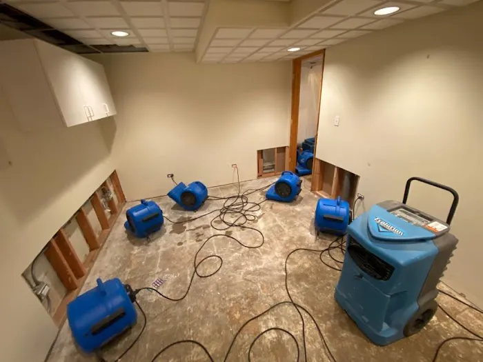 ProDry Restoration Inc. Picture 2