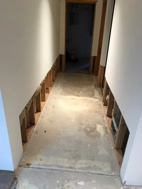 ProDry Restoration Inc. Picture 4