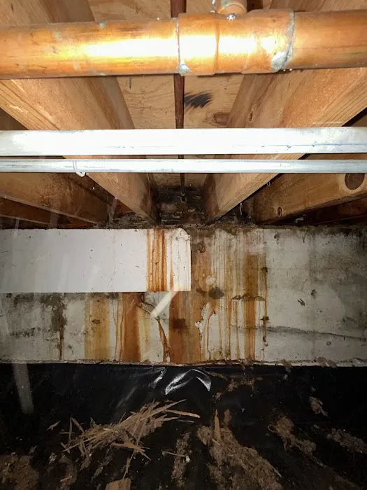 RestoPros of Chicagoland West Picture 4