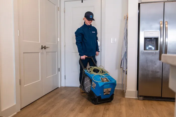 RestoPros of Chicagoland West Picture 3