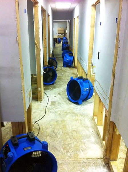 Spectrum Restoration Services Picture 6