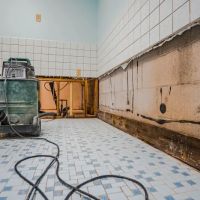 FloodRescue Water Damage Restoration ico