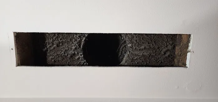 Tudor Cleaning & Restoration Picture 5