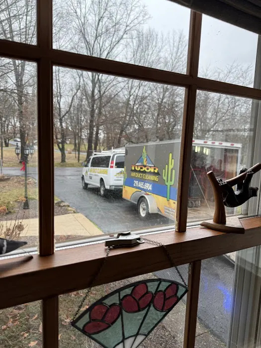 Tudor Cleaning & Restoration Picture 2