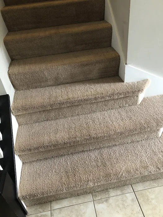 Tudor Cleaning & Restoration Picture 8