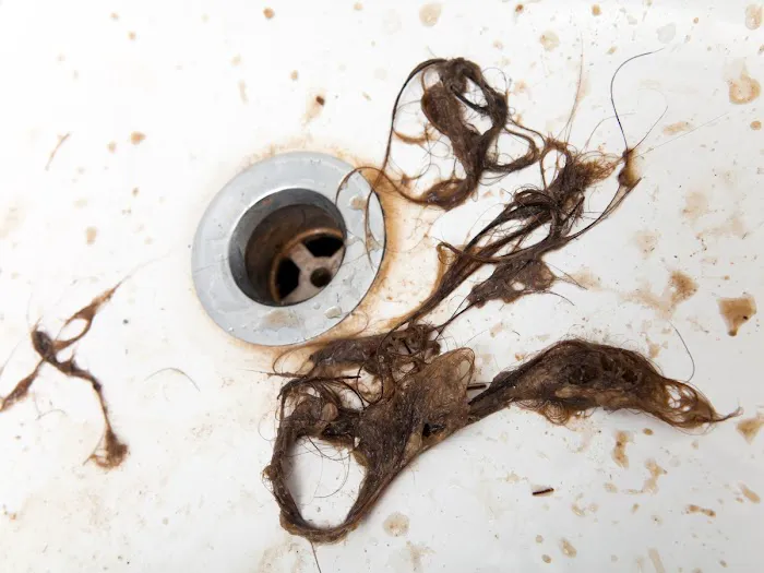 Mr. Rooter Plumbing of Northwest Indiana Picture 3