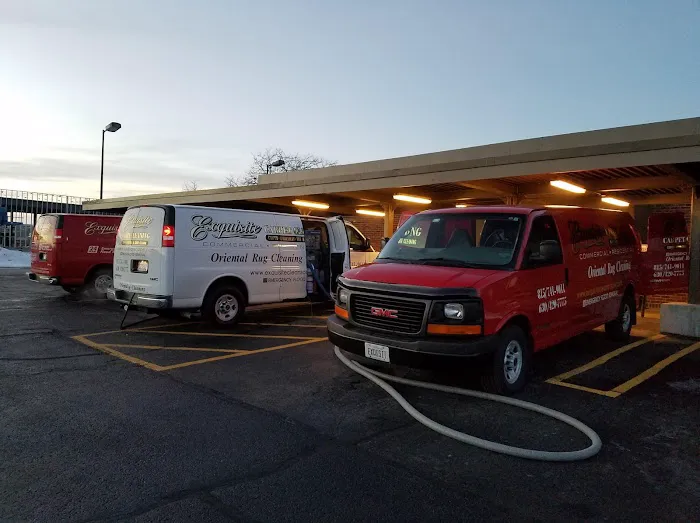 Exquisite Carpet Cleaning Picture 9