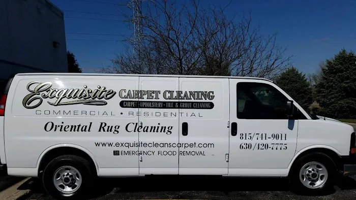 Exquisite Carpet Cleaning Picture 5