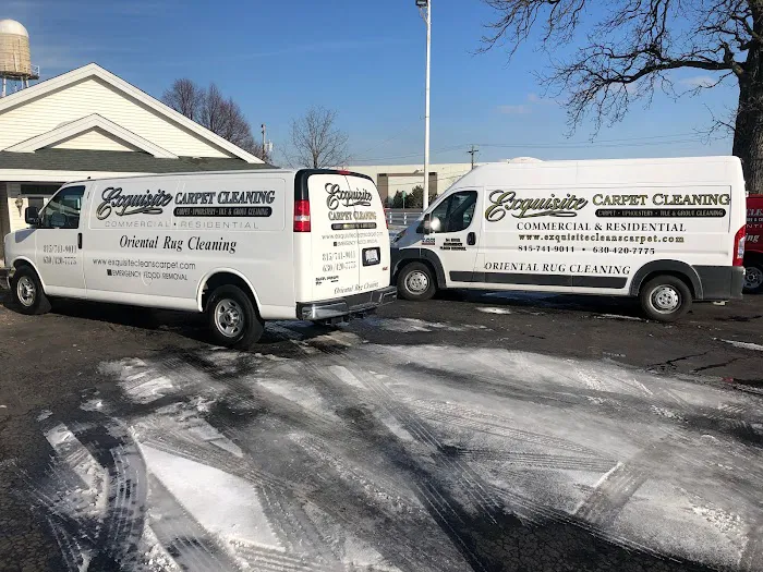 Exquisite Carpet Cleaning Picture 8