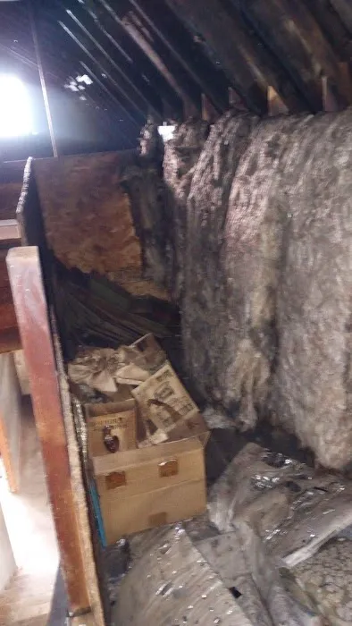 PuroClean by Browns Picture 4