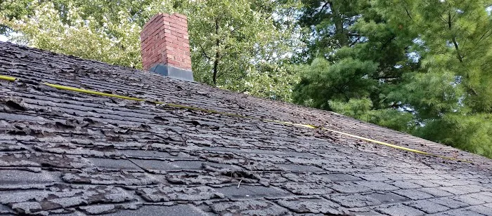 Mold Squad Restoration & Contracting, LLC Picture 10