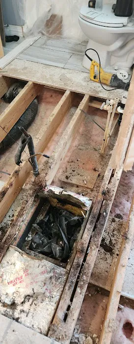 Mold Squad Restoration & Contracting, LLC Picture 8