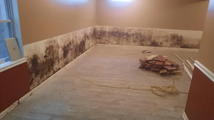 Illinois Wall Doctors Picture 3