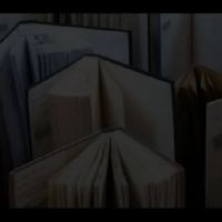 Midwest Freeze-Dry Ltd ico