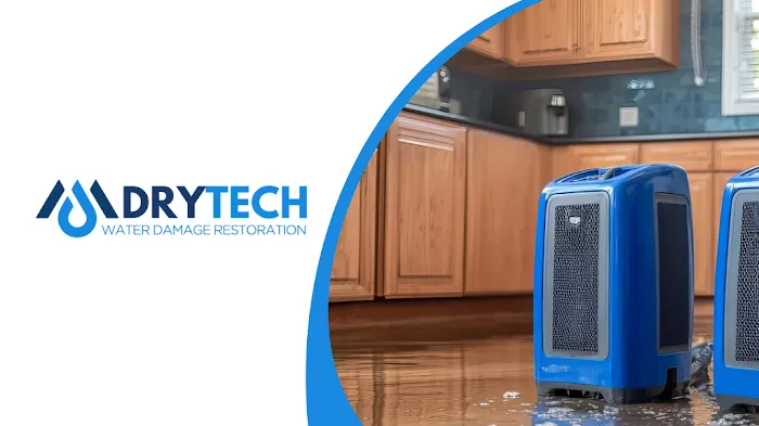 DryTech Water Damage Restoration Picture 4