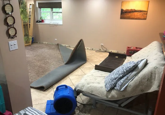 DryTech Water Damage Restoration Picture 1