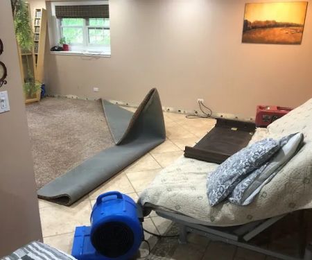 DryTech Water Damage Restoration