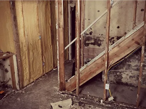 Green Home Solutions of Chicago Glenview Picture 9