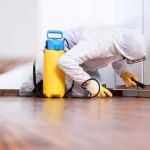 Green Home Solutions of Chicago Glenview