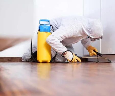 Green Home Solutions of Chicago Glenview