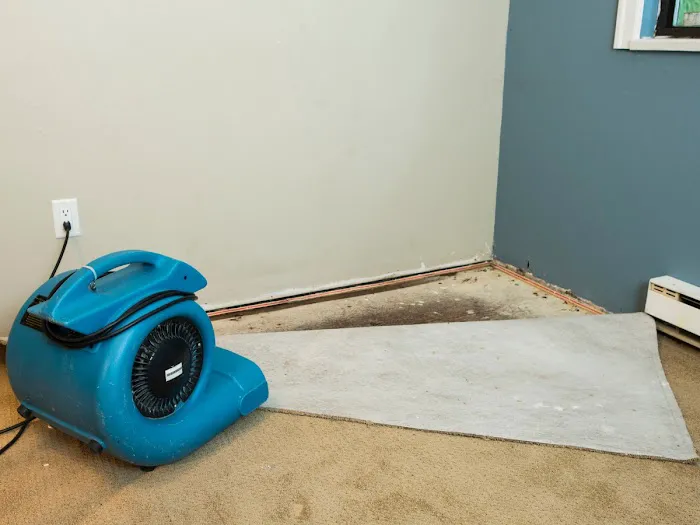 Signature Water and Fire Restoration Picture 9