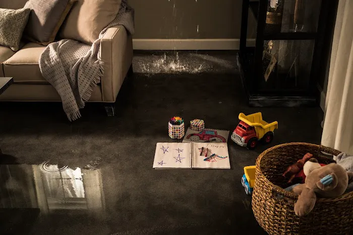 ServiceMaster Restoration By Simons - Lake County IL Picture 7