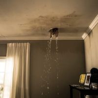 ServiceMaster Restoration By Simons - Lake County IL ico