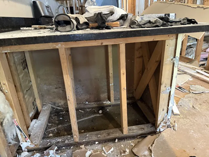 Mount Prospect Mold Removal Picture 4