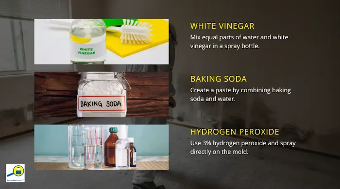 RestorationMaster Picture 2