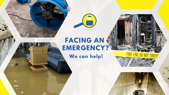 RestorationMaster Picture 10