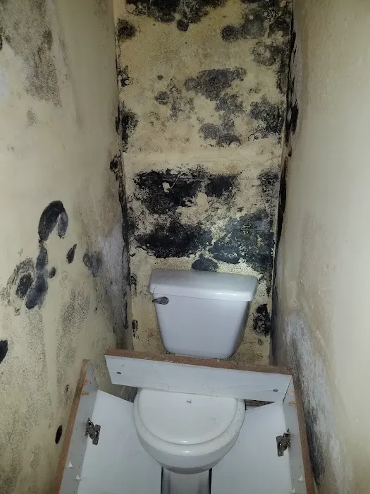 Family First Picture 10