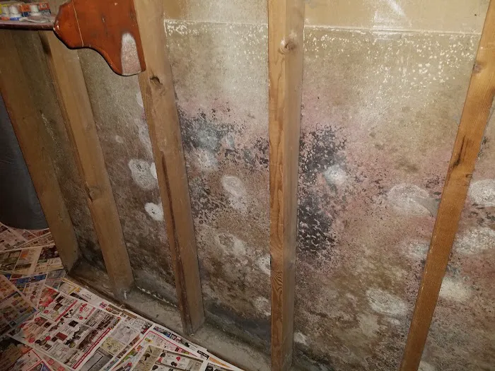 Family First Picture 9