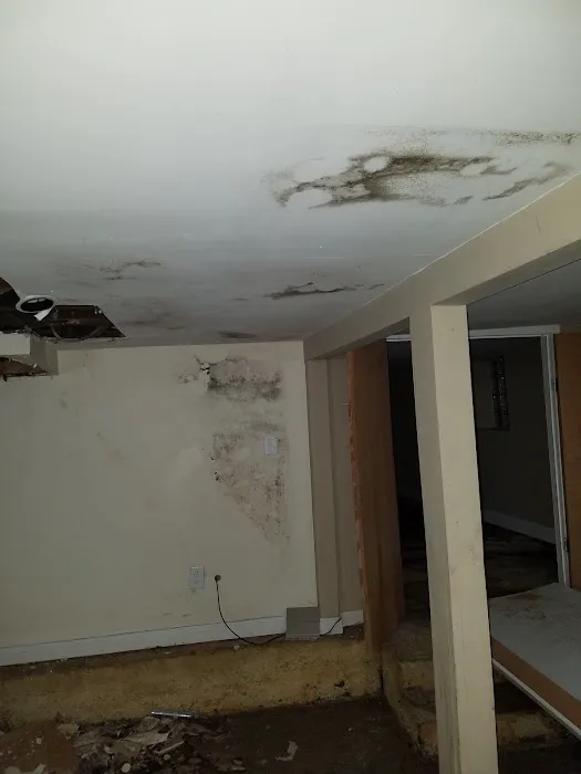 Family First Picture 1