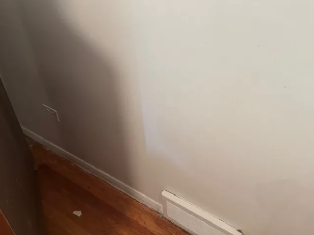 NoMold Solutions LLC Picture 3