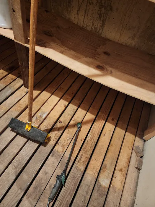 The Mold Genius Picture 1