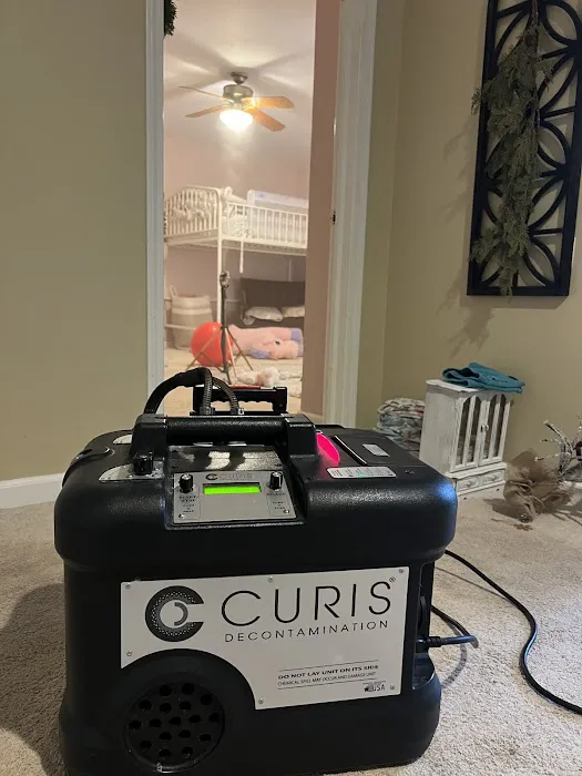 The Mold Genius Picture 5