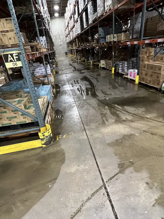 The Mold Genius Picture 3