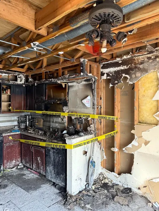 The Mold Genius Picture 10