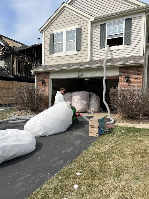 The Mold Genius Picture 7