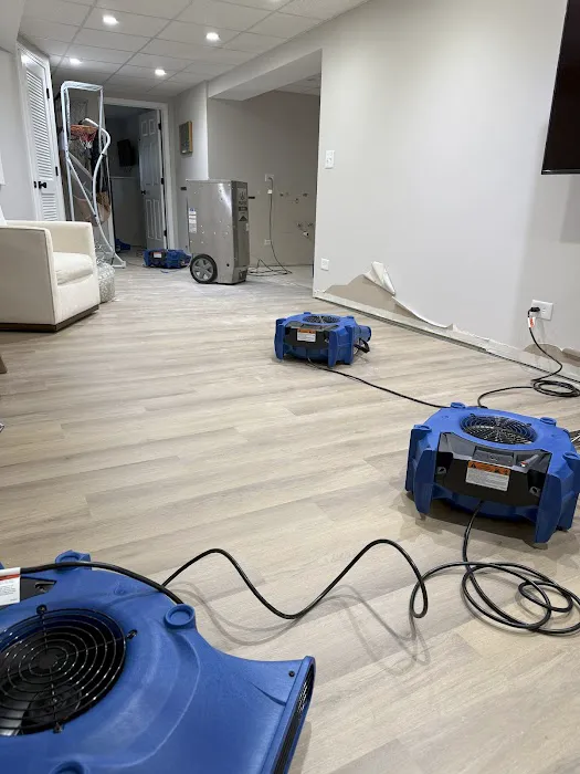 The Mold Genius Picture 6