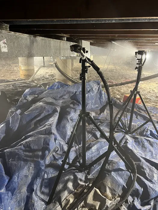 The Mold Genius Picture 4