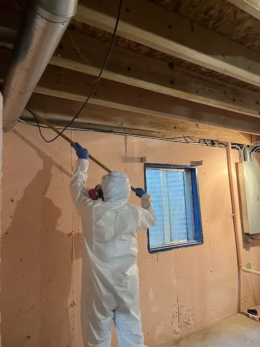 The Mold Genius Picture 8