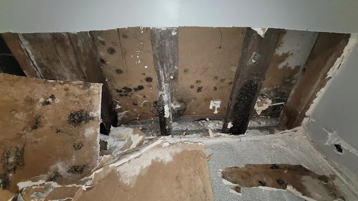 Rapid Restoration Team Picture 10